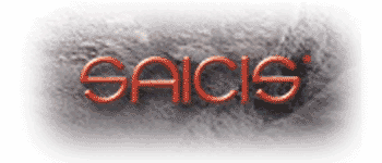 Gruppo Ceramiche Saicis